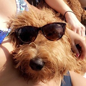 Meet your Posher, Ellie